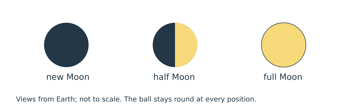 New, half and full Moon views from Earth. The Moon stays round; the visible illuminated portion changes.